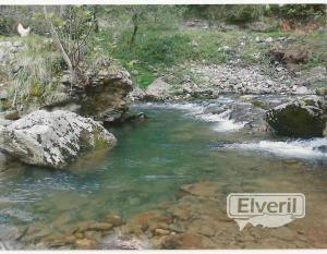 atzolaras(Aizarnazabal)afluente del rio Urola, sent by: ENEKO
