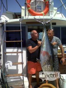 Atun. Pesca con cebo vivo, sent by: pescaenbarco.com (Not registered)