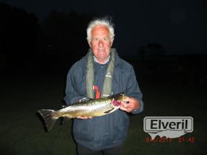 Evening may fly fishing , sent by: Richard Collins (Not registered)